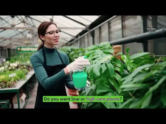 Video thumbnail for Creating a Tiny Oasis: The Best Plants for Small Spaces