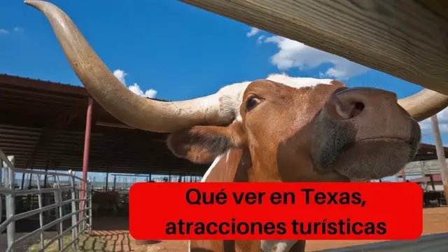 Video thumbnail for Qué ver en Texas, atracciones turísticas, video blog