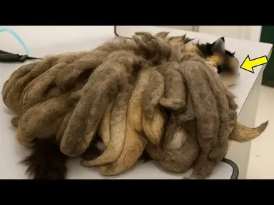 'Video thumbnail for Man Visits His Elderly Relative And Sees This Under The Bed, Then He Realizes What It Is'