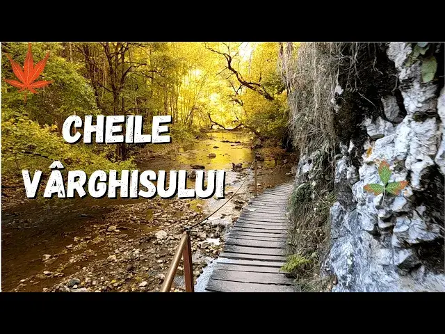 Video thumbnail for Drumeție în Cheile Vârghișului. Cheile Vârghișului toamna.