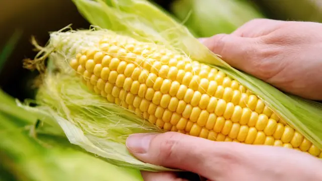 Video thumbnail for You've Been Storing Fresh Corn Wrong This Entire Time