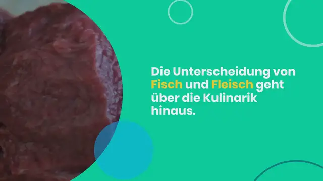 Video thumbnail for Ist Fisch Fleisch?