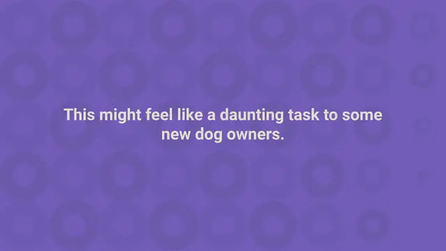 Video thumbnail for 500+ Mexican Dog Names For Your Furry Amigo