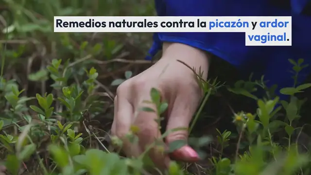 Video thumbnail for Remedios naturales contra la picazón y el ardor vaginal
