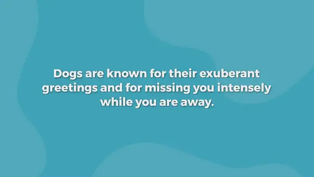 Video thumbnail for 180+ Loyal Dog Names For Your Devoted Furry Friend