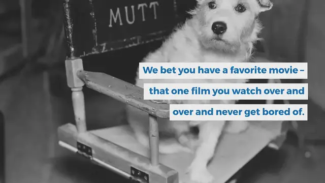 Video thumbnail for 340+ Dog Names From Movies For Your Oscar Winner Pooch