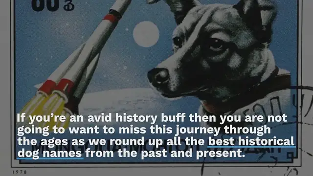 Video thumbnail for 300+ Historical Dog Names For Your Furry Explorer