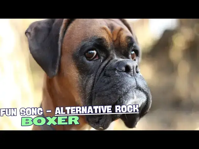 Video thumbnail for ? "Boxer’s Rebellion" – Fun Song About Boxer Dogs! ?