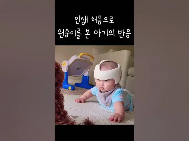 Video thumbnail for 인생 처음으로 원숭이 장난감을 본 아기의 반응