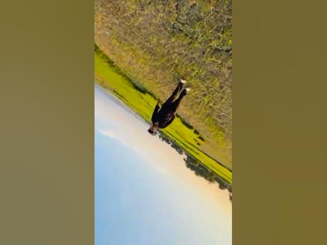 Video thumbnail for sanam teri kasam song ❤️ #foryou #sylhet #foryoupage