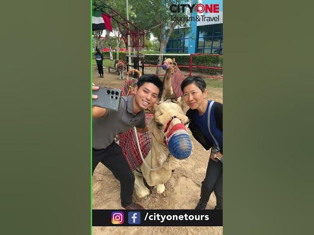 Video thumbnail for Travel diaries