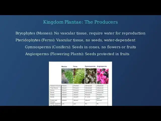 Video thumbnail for The Five Kingdoms of Life Explained