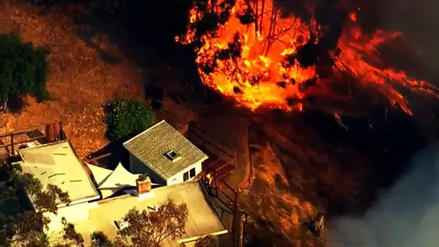 Video thumbnail for Raw video Oakland hills fire prompts evacuations