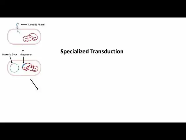 Video thumbnail for Specialized Transduction Steps