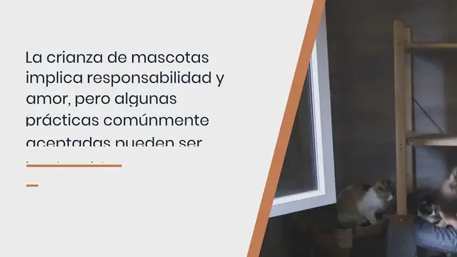 Video thumbnail for 10 prácticas habituales en la crianza de mascotas que pueden ser perjudiciales