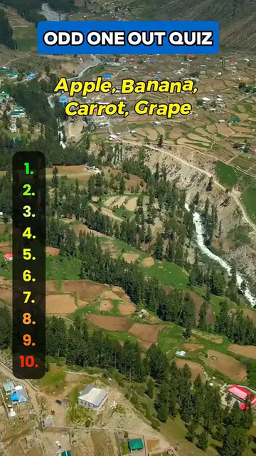 'Video thumbnail for Find the odd one! #quiz #quiztime #quizchallenge #trivia #triviachallenge'