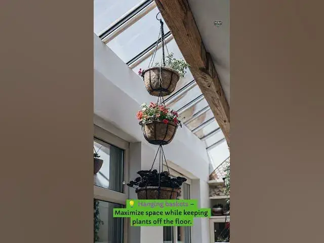 Video thumbnail for Tiny Home Gardening – Grow Fresh Food in a Small Space!  #smallhome #tinyspace #gardening #greenery