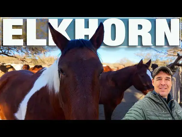 'Video thumbnail for Scenic Arizona Ranch Trail Walk 🌵 Relaxing Virtual Nature Experience - 4k City Walks'