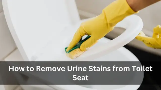 Video thumbnail for How to Remove Urine Stains from Toilet Seat