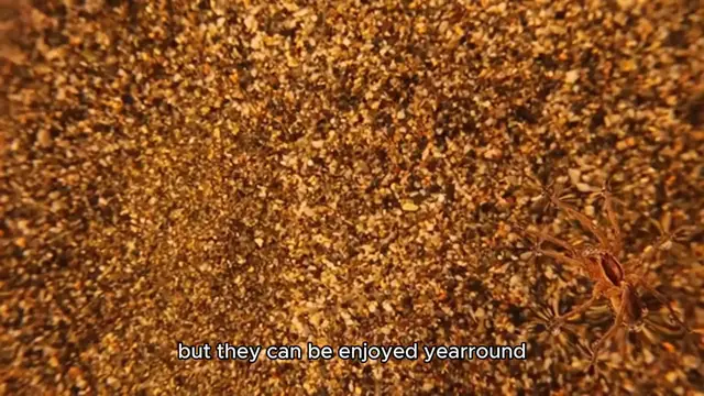 Video thumbnail for latkes recipe