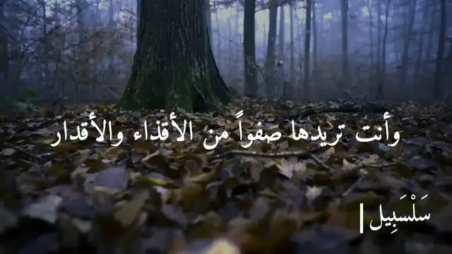 Video thumbnail for ضاقت بك الدنيا؟ إليك الحل من الشيخ بدر المشاري