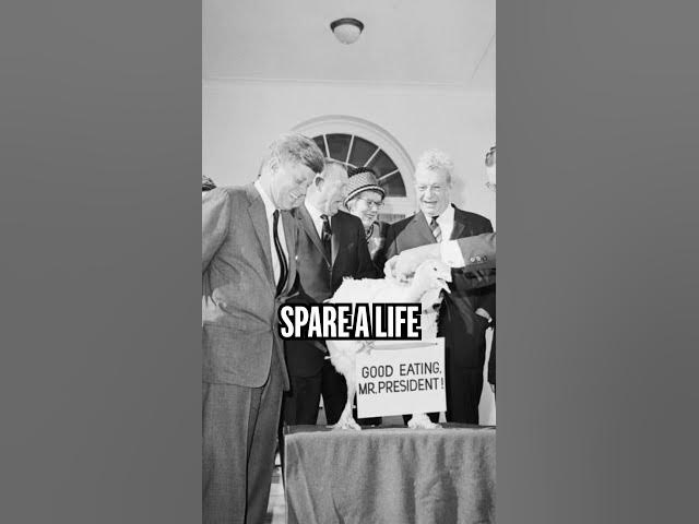 Video thumbnail for The Turkey Pardon Never Gets Old  #wtf