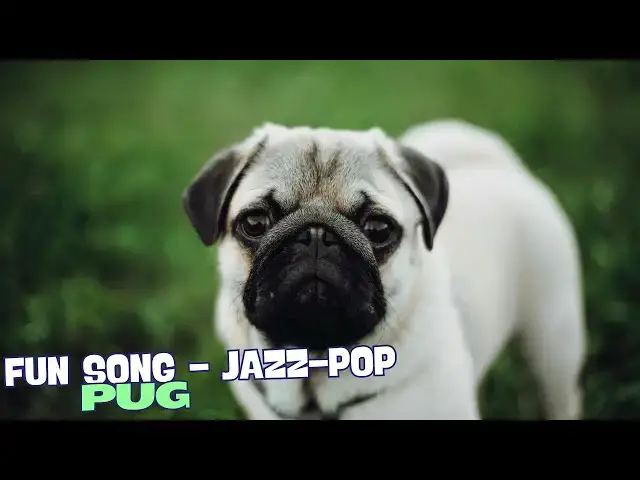 Video thumbnail for 🎶 "Got a Little Puggy Friend" – Fun Song About Pugs! 🐾