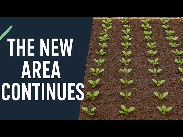 'Video thumbnail for ✅ “Allotment Transformation Continues | Progress on the New Garden Area”'