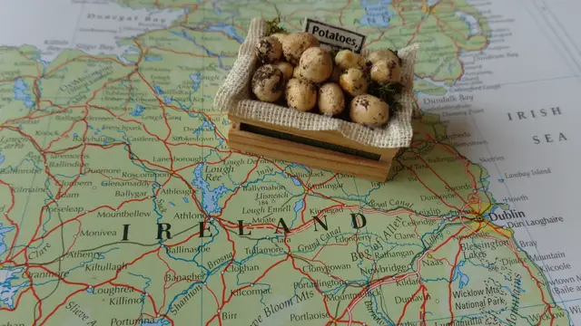 'Video thumbnail for This Is How Scientists Solved The Mystery Of The Irish Famine'