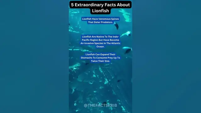 Video thumbnail for 5 Extraordinary Facts About LionFish