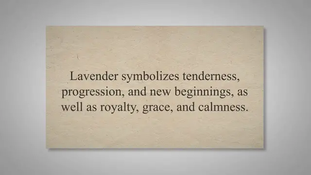 'Video thumbnail for The Spiritual Meaning of Smelling Lavender'