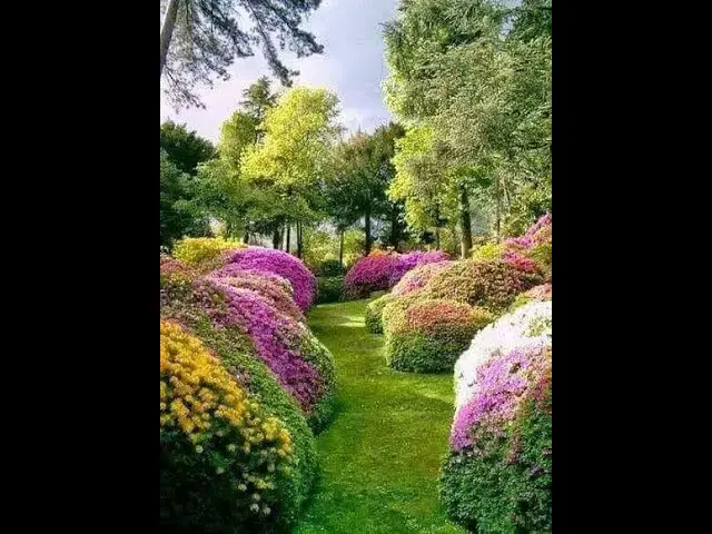 Video thumbnail for الشعر الحر 6