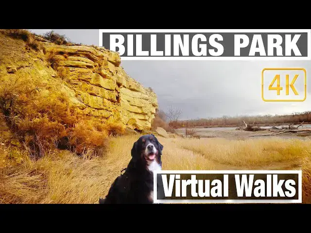 Video thumbnail for Virtual Park Walk in Montana's Biggest City - Virtual Walking Trails for Treadmill - City Walks - 4K