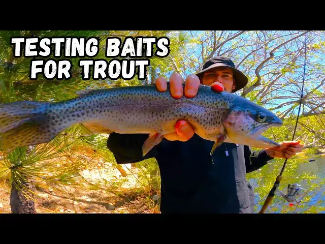 Video thumbnail for Trout Fishing Green Valley Lake Opening Season