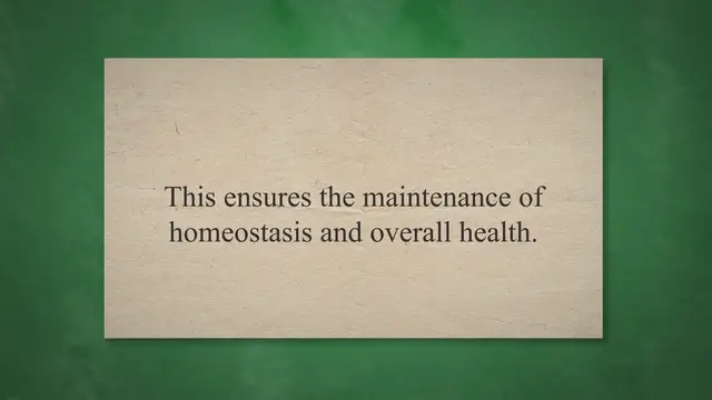 Video thumbnail for Human Excretion Process