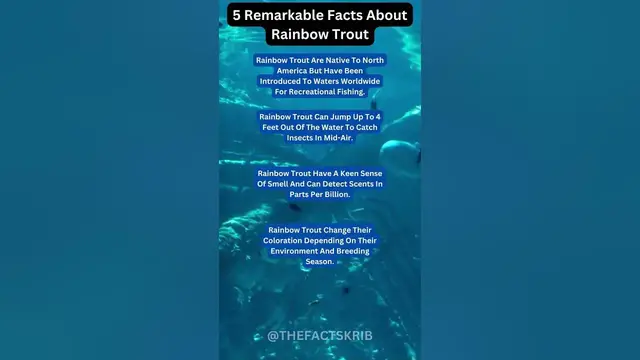 Video thumbnail for 5 Remarkable Facts About Rainbow Trout