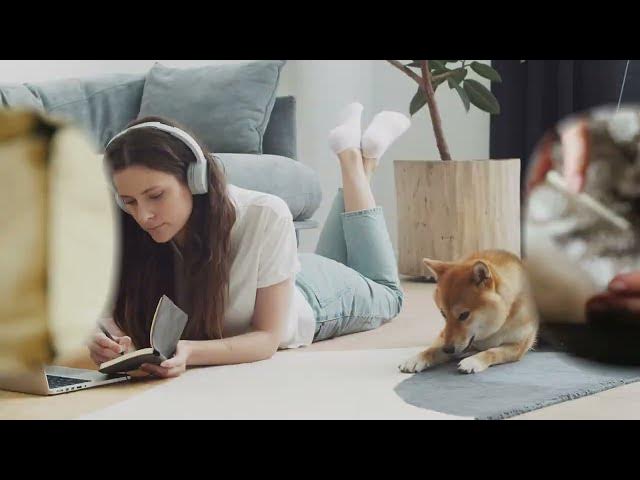 Video thumbnail for Getting Started on Wag! The Future of PurrWell Pet Care & Veterinary Services Template #pets #uibarn