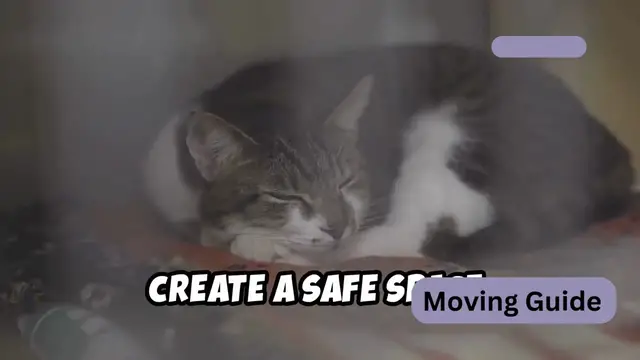 'Video thumbnail for How to Reduce Pet Stress During a Move 10 Expert Tips (720p 30fps)'
