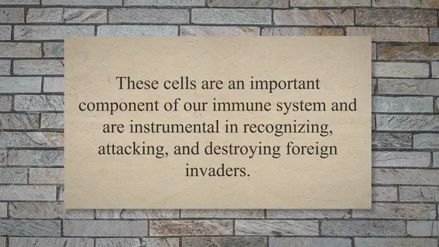 Video thumbnail for The role of white blood cells in immunity