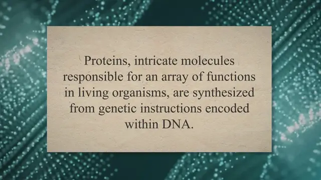 Video thumbnail for Protein Synthesis and the Formation of Organismal Traits