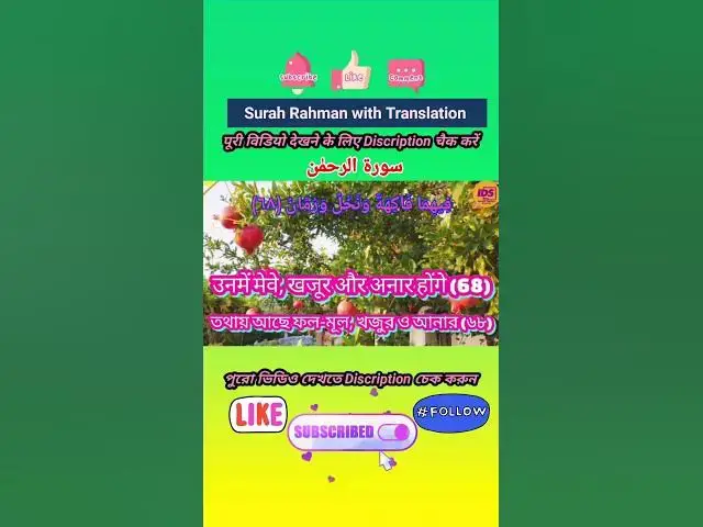 Video thumbnail for Recitation of Surah Rahman verse 68 to 69 in beautiful voice with bangla & hindi translation #shorts