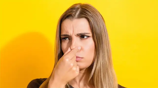Video thumbnail for False Facts That Actually Changed The World