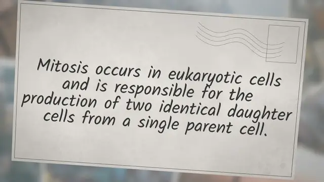 Video thumbnail for Cellular division and its phases in mitosis