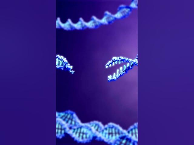 Video thumbnail for How do we use CRISPR gene editing to study diseases?