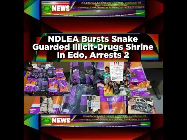 Video thumbnail for NDLEA Bursts Snake Guarded Illicit-Drugs Shrine In Edo, Arrests 2 ~ OsazuwaAkonedo