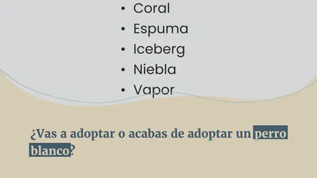 Video thumbnail for 250 ideas de nombres para perros blancos (macho y hembra)