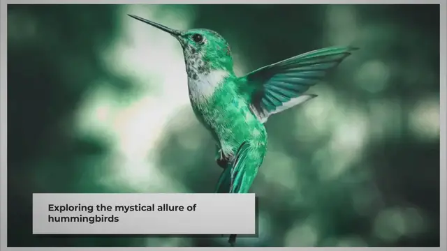 Video thumbnail for The Mystical Allure of Hummingbirds: Symbols of Joy and Resilience