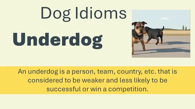 Video thumbnail for  What Does “Underdog” Mean in English? | Learn This Common Idiom with Examples