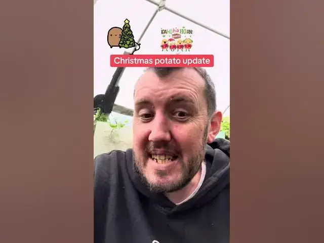 'Video thumbnail for 🥔🎄 Christmas Potato Growing Update | How Are They Doing in September? 🌱'