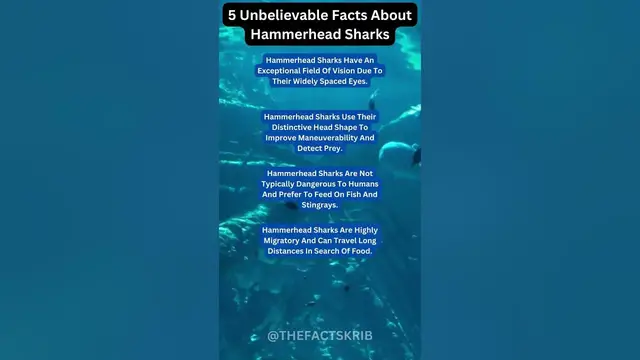 Video thumbnail for 5 Unbelievable Facts About Hammerhead Sharks